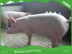  母猪奶水不足表现在哪些症状？
