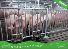 种猪场的环境消毒
